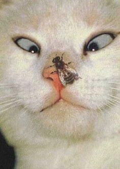 8d75eed11afcacfe11baf2be55f17eab.jpg