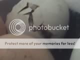 4880B11F000495400000500E22165499760.jpg
