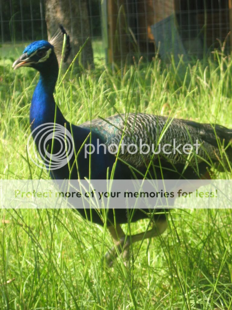 IMG_5957.jpg