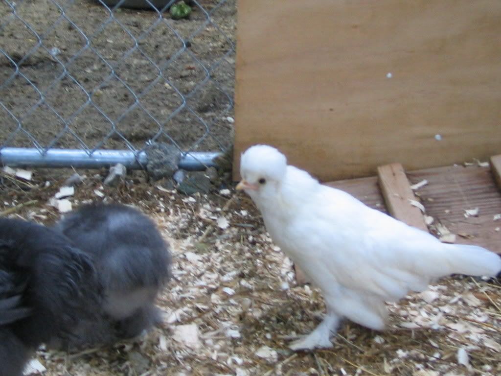 IMG_1750.jpg