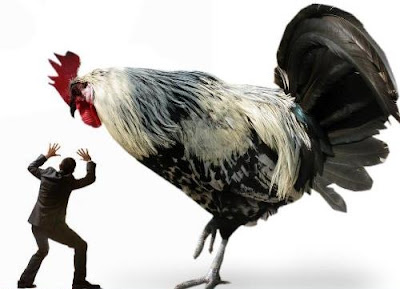 Chickenosaurus.jpg