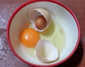 egg1.jpg