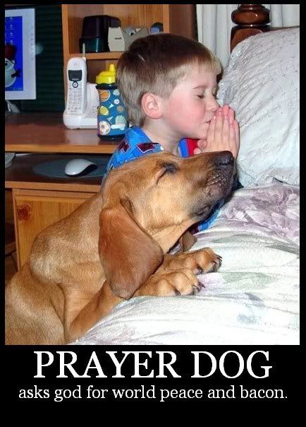 PRAYERdog.jpg
