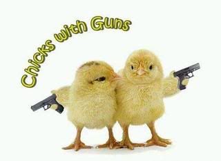 funny0094.jpg