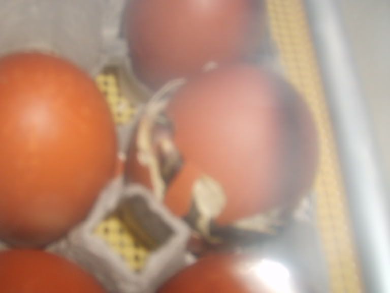 12-20-09012.jpg