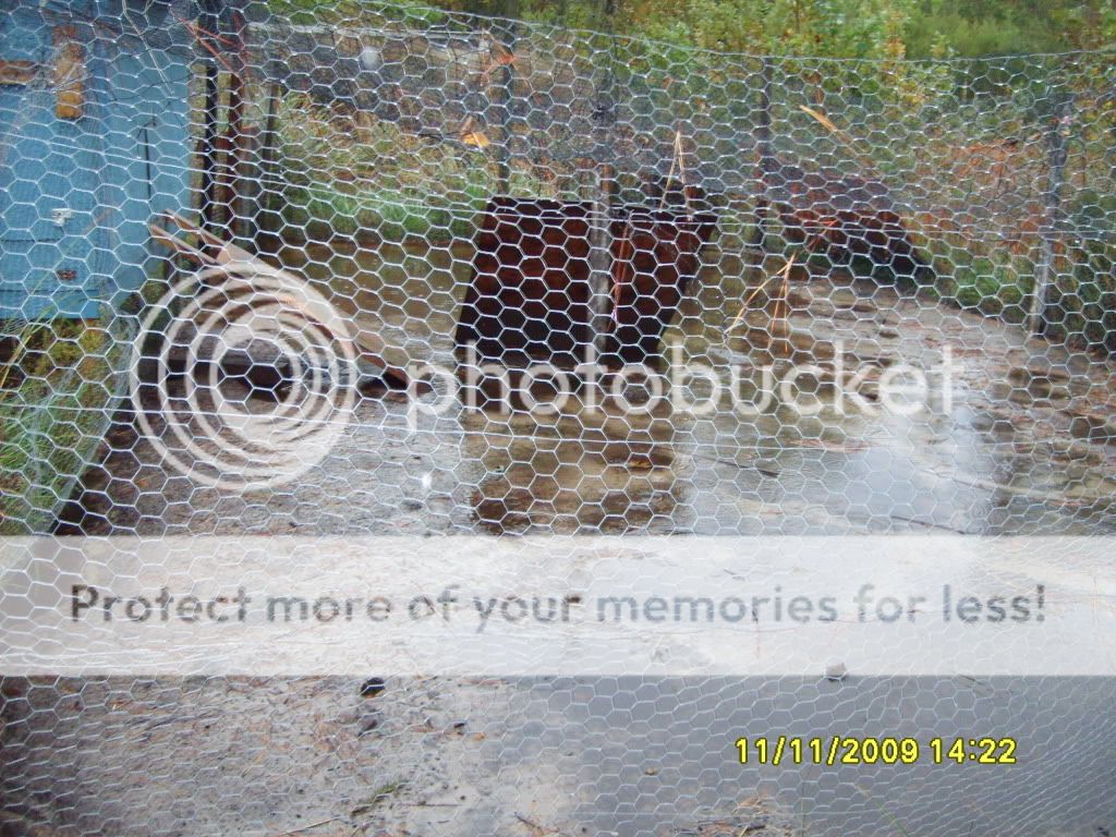 flood004.jpg