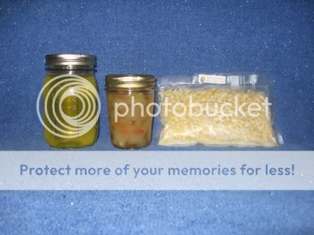 8-26-08canning-freezing.jpg