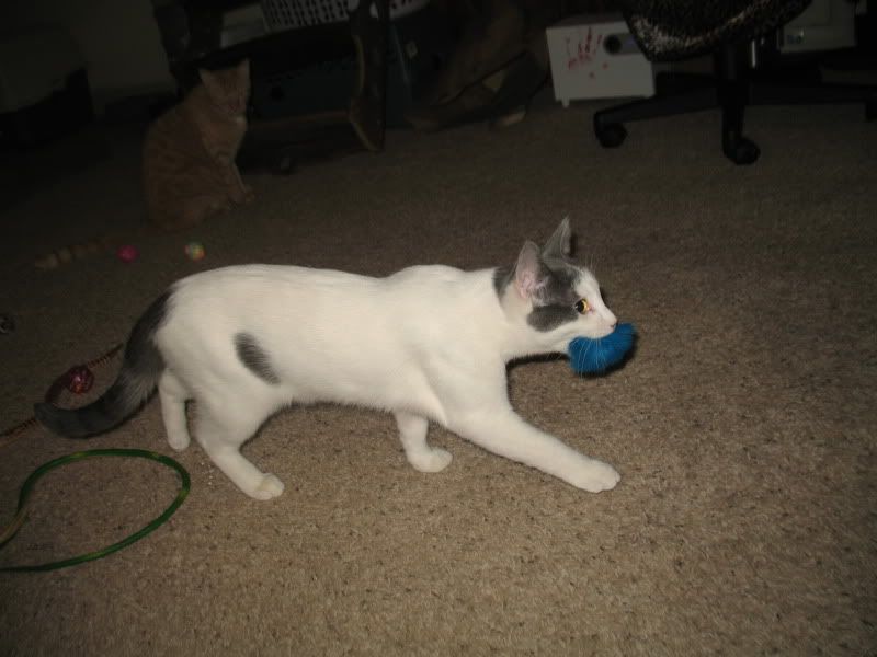 Family073.jpg