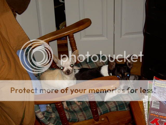 Picture068.jpg