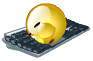 sleepingcomphi9.gif