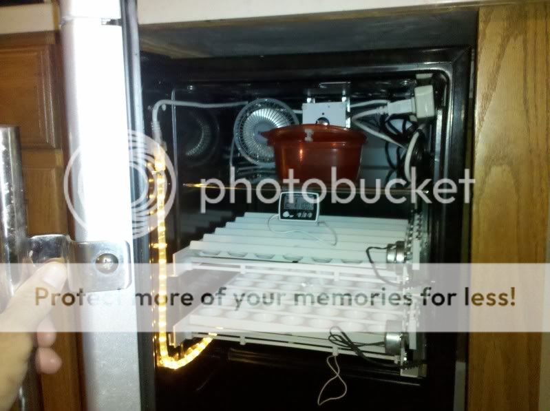 WinoBator12_19_11.jpg