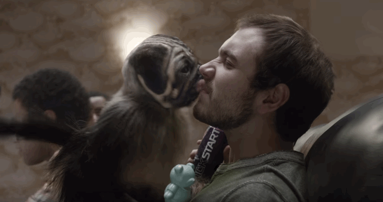 puppy-monkey-baby.gif