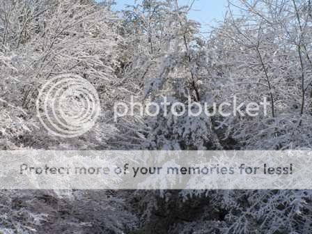Snow1.jpg