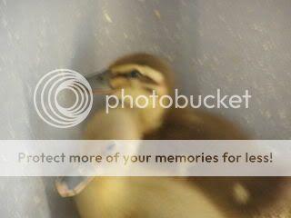 20080713_34.jpg