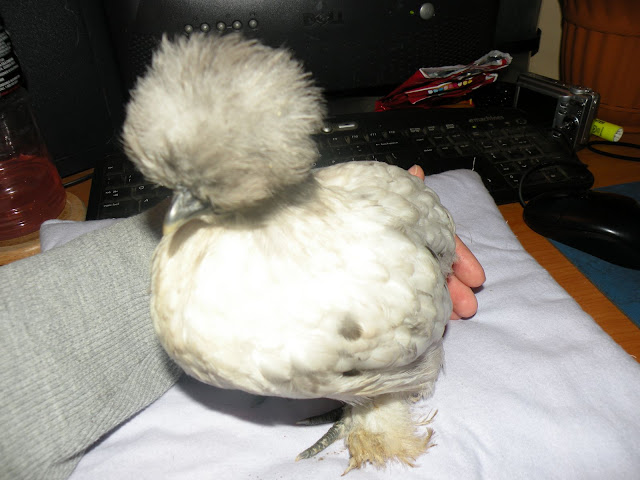 DSCN5092.JPG