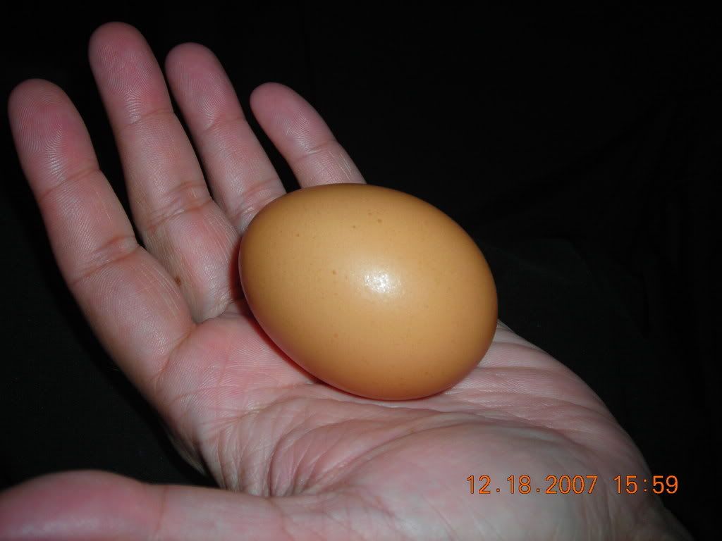 DSCN1654.jpg
