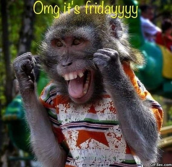 Its-Friday.jpg