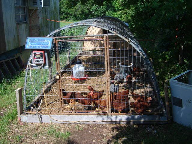 Picture006.jpg