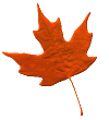 755065696.gif