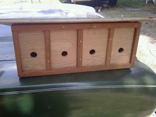 bird%20condo1.jpg
