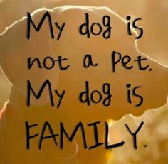 478d2b1b624071daba2d3dea6d19dbe7.jpg