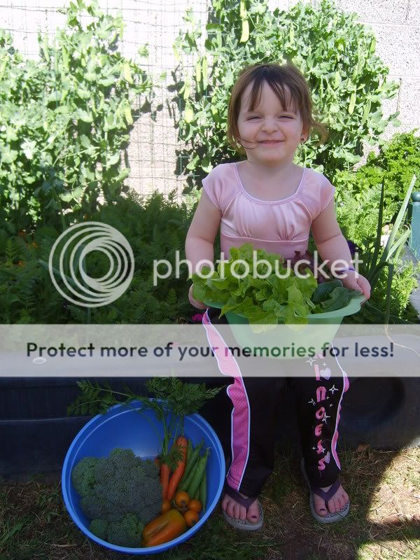 gardenchickens004.jpg