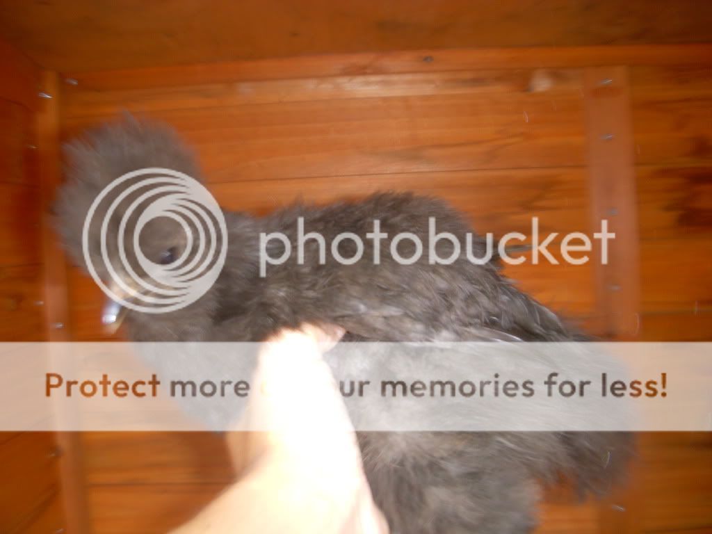 DSCN3775.jpg