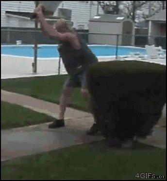 gifs_08.gif