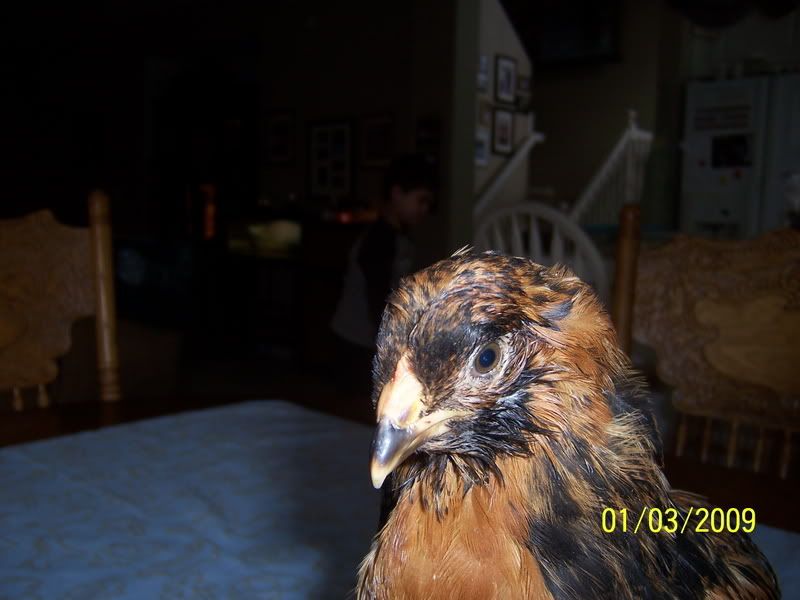 E5D86AA.jpg