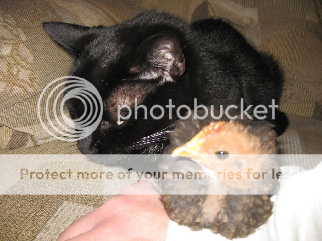 IMG_2070.jpg