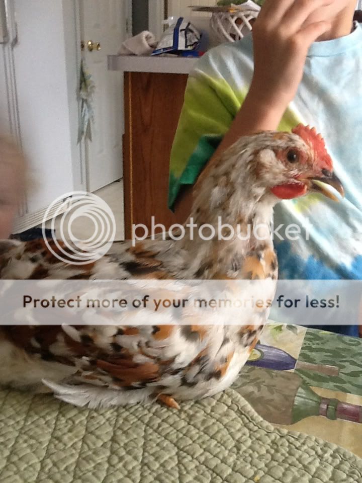 0f7e2dce8caa6c550f6156b4b7a2d4eb.jpg