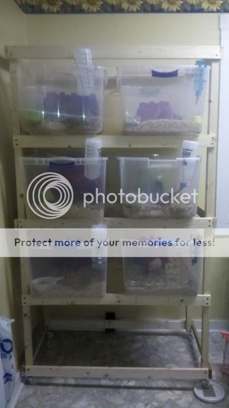 2011-12-30_17-06-16_834.jpg