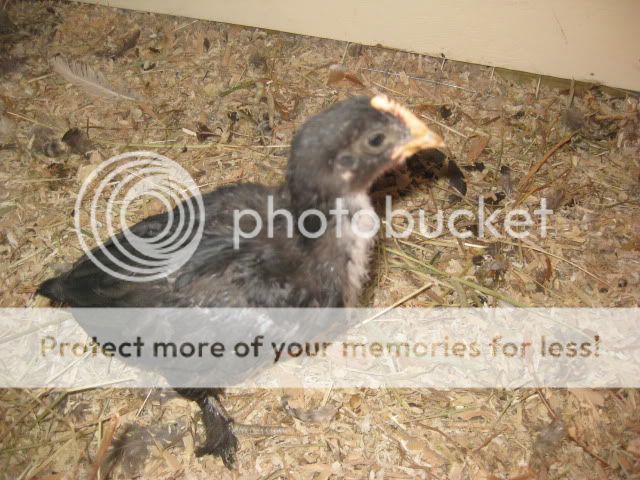 IMG_5883.jpg