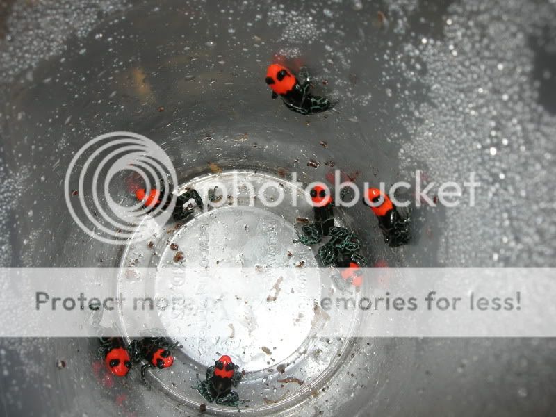 DSCN3068.jpg