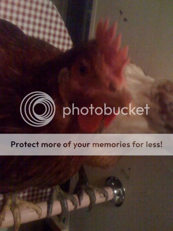 photo25-1.jpg