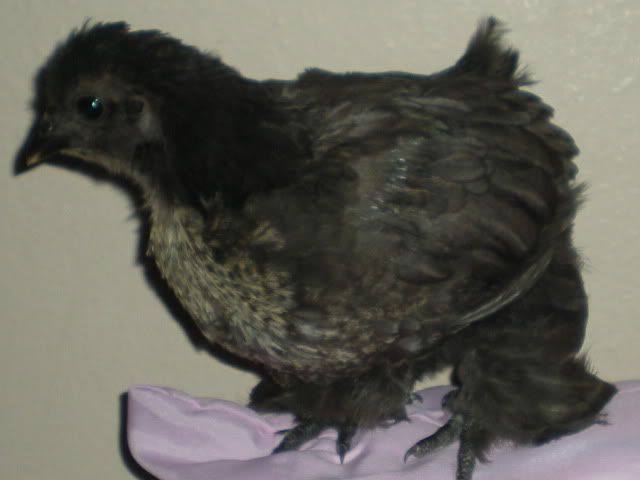 RSCN1126.jpg