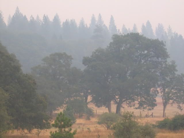 SmokeyDay003.jpg