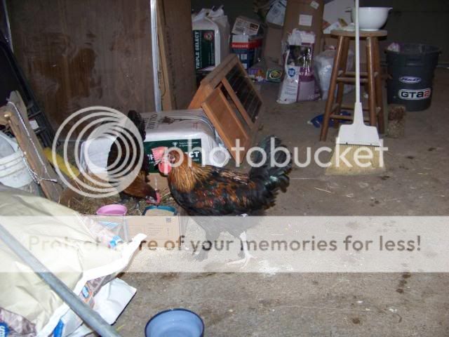 100_3567.jpg