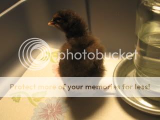 IMG_1422.jpg