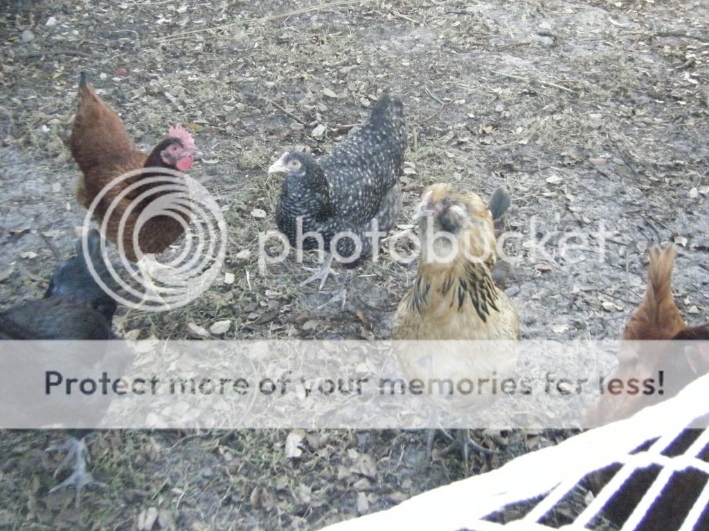 DSCF5370.jpg