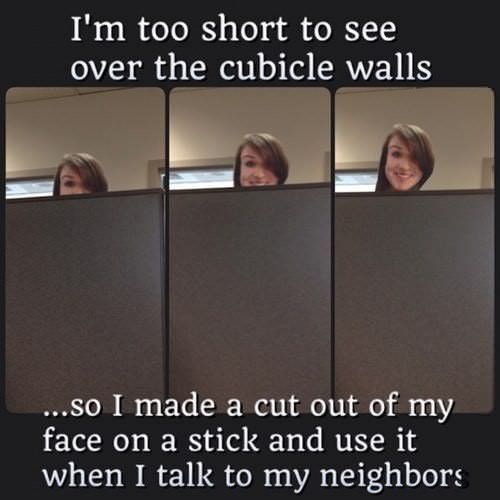 funny-meme-wof-79.jpg
