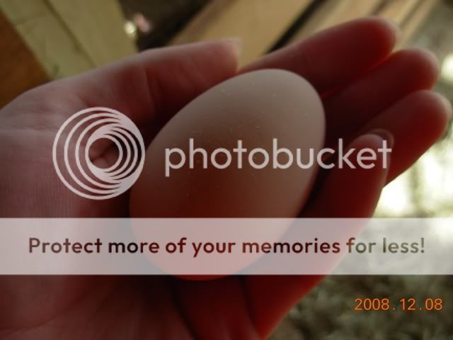 DSCN2852.jpg