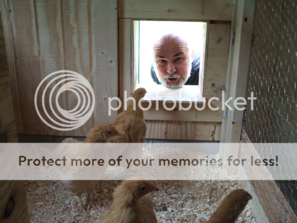 DSCF2825.jpg