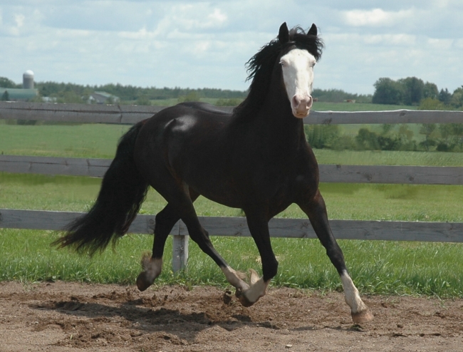 2007JunZia148MAIN.jpg