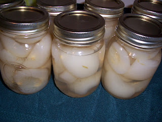 100_4243.jpg