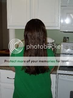 WebAbsLongHair2.jpg