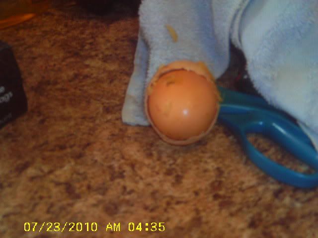 IMAG0049.jpg