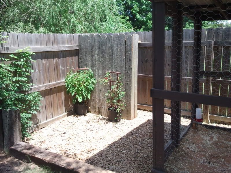 2011-06-25134823.jpg