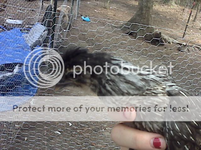 IMG01626.jpg