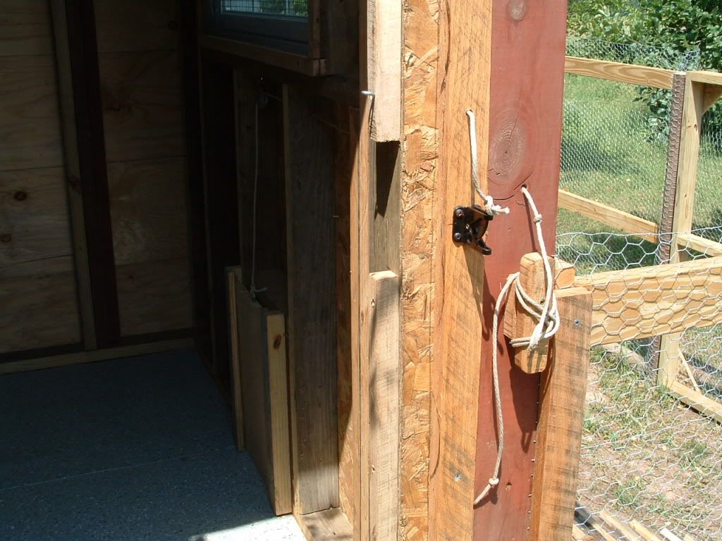 chickendoor007.jpg